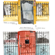 Illustration for article titled Scenes of San Francisco's Urban Life Told Through Illustrated Stories